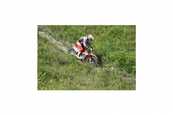 Betan kaksitahtinen testauksessa.