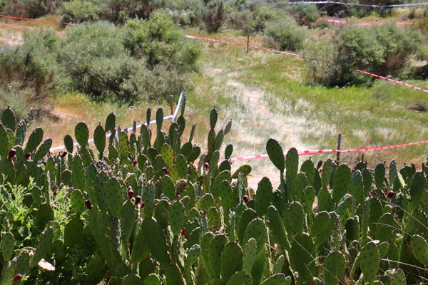 Maisemat Portugalissa poikkeavat melkoisesti Suomesta. Kuva: Kari Salminen
