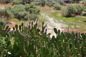 Maisemat Portugalissa poikkeavat melkoisesti Suomesta. Kuva: Kari Salminen